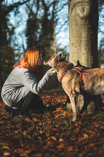 Ilustracja do wpisu: Czas pożegnania