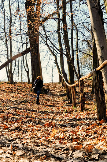 Ilustracja do wpisu: Idę dumnie po pomoc