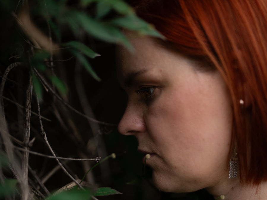 Ilustracja do wpisu: Wywieziemy cię na gnoju...